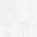 2420x1200 Tongue & Groove Panel / Athena Marble