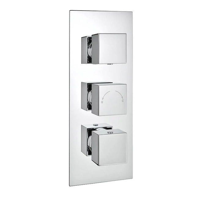Pure Dual Concealed Shower Set