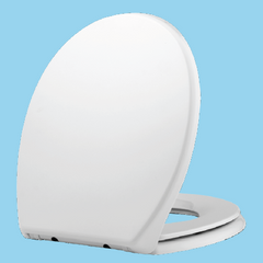 White toilet seat on a blue background